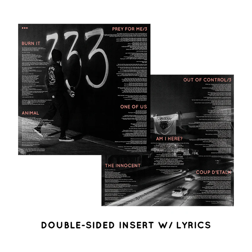 STRENGTH IN NUMB333RS 12" Vinyl Only - Image 3